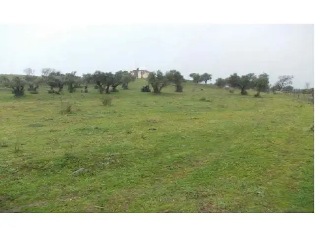Terreno Urbanizable Plasencia 10415m2 Edificabilidad 7618m2