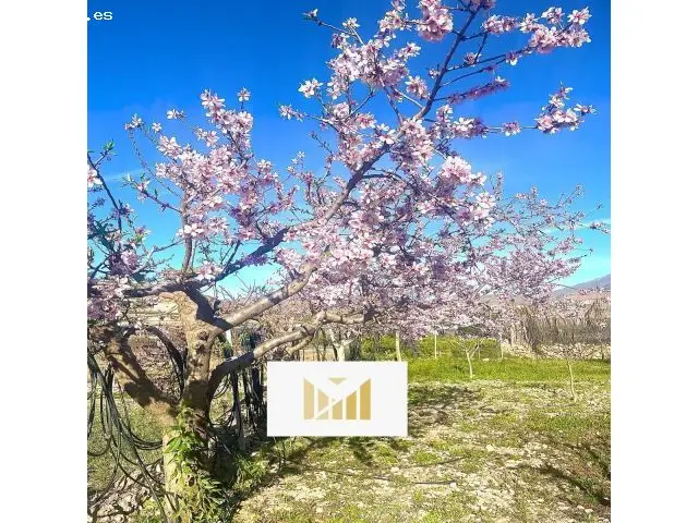 Terreno Con Cortijo