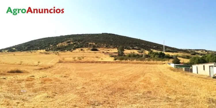 Venta  de Terreno de secano en Ciudad Real