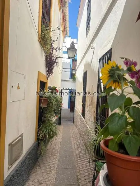 Solar Urbano en Casco Histórico de Córdoba 135m2