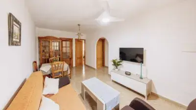 Apartamento Los Alcázares Playa Palmeras 2 habitaciones