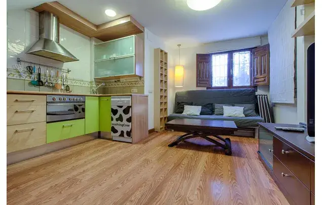 Alquiler Apartamento 1 Dormitorio Granada Centro Realejo Cerca Alhambra