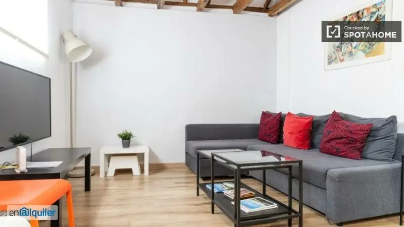 Apartamento 1 Dormitorio Embajadores Madrid Amueblado Wifi