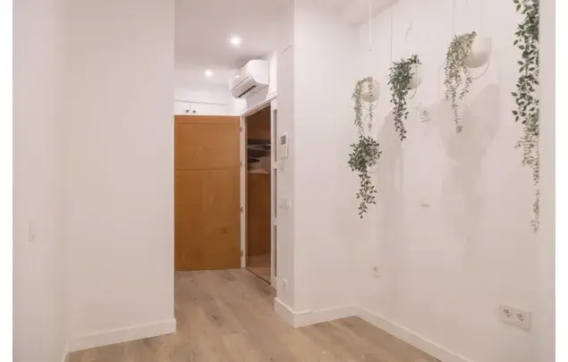 Rent 11 bedroom house in Madrid