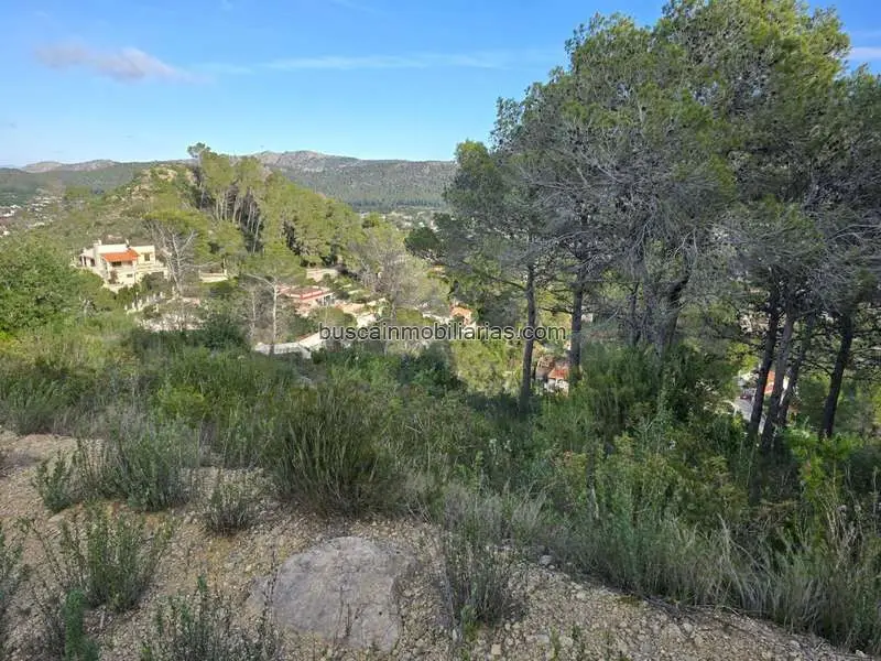 Parcela Urbana en Venta Carcaixent 1561m2