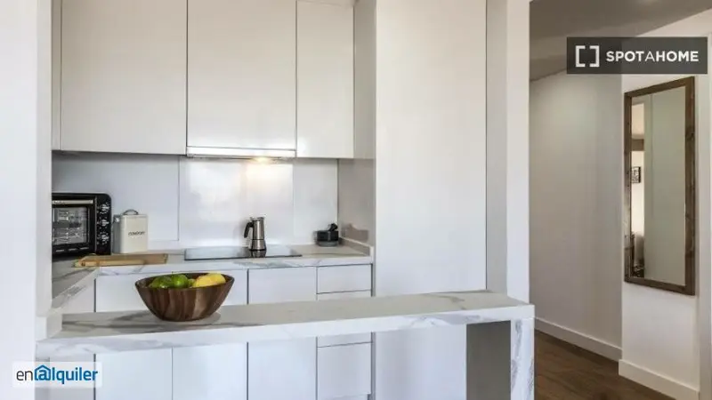 Apartamento 2 Dormitorios Rios Rosas Madrid Amueblado Mascotas