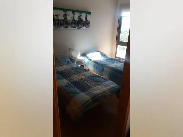 Habitacion Alquiler Murcia Apartamento Dali