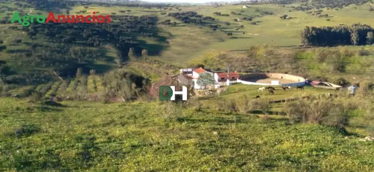 Venta  de Finca de recreo en Badajoz