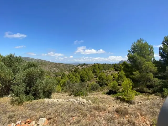 Terreno en venta Jalón Xaló, España