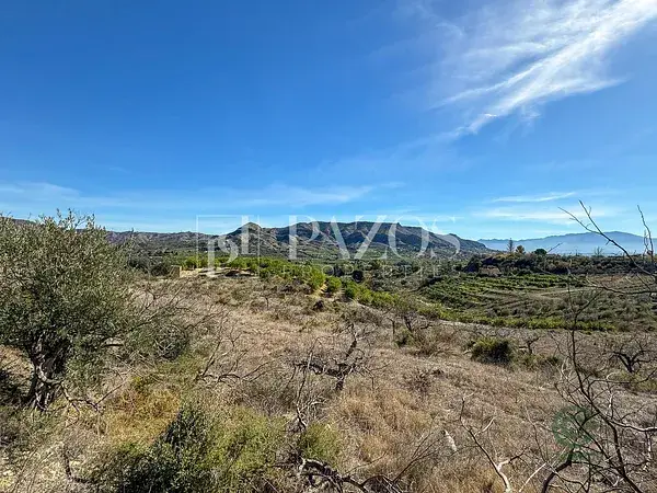 Terreno Agricola en Pizarra Malaga