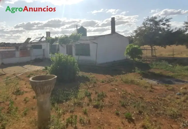 Venta  de Finca ganadera en Badajoz