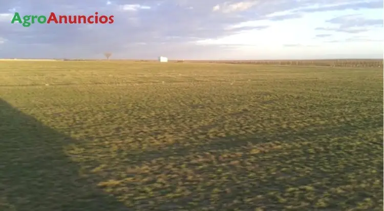 Venta  de Finca de regadío en Ciudad Real