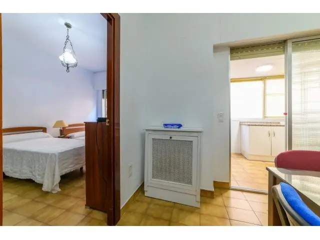 Apartamento 1 Dormitorio Triunfo Jardín Granada