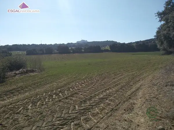 Finca Rustica Castillazuelo 179ha Olivos