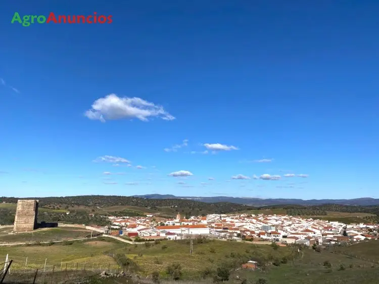 Venta  de Finca rústica con dos naves en Badajoz