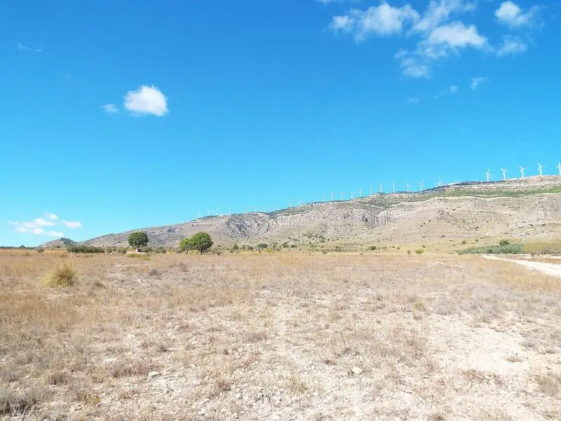 Terreno en Venta Caudete con Higueras y Vistas Panoramicas