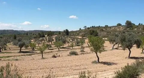 Terreno en venta Fabara, España