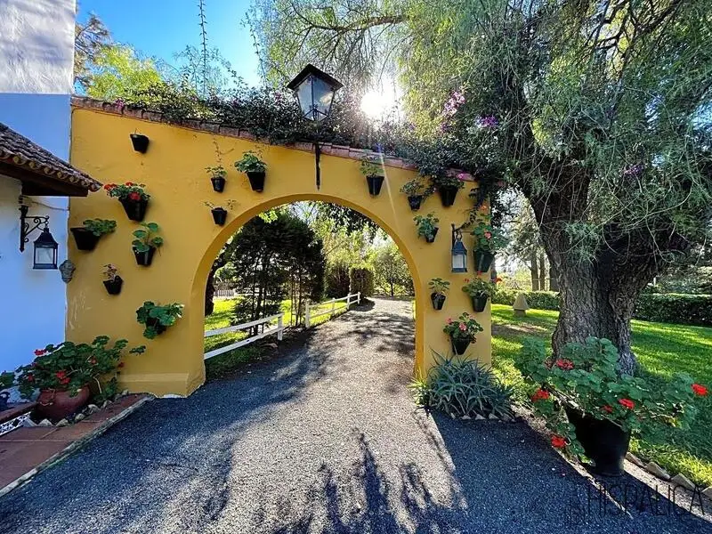 Finca Rustica con 4 Dormitorios y Bodega en Alcolea del Rio