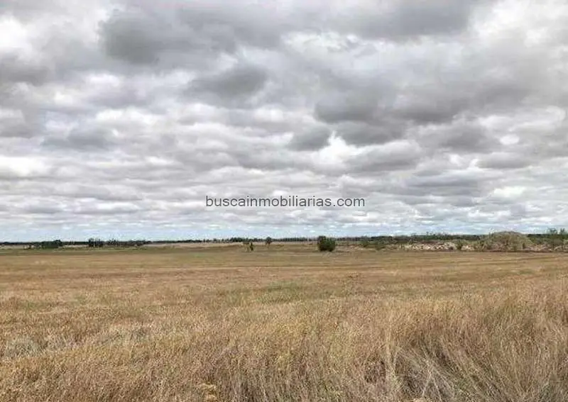 Parcela Rustica en Venta Grijota 221501m2