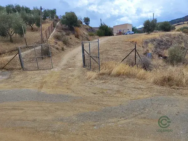 Casa de Apero en Almogía con Gran Parcela