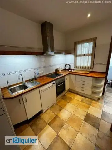 Alquiler Piso Centro 115m2 3 Dormitorios Amueblado