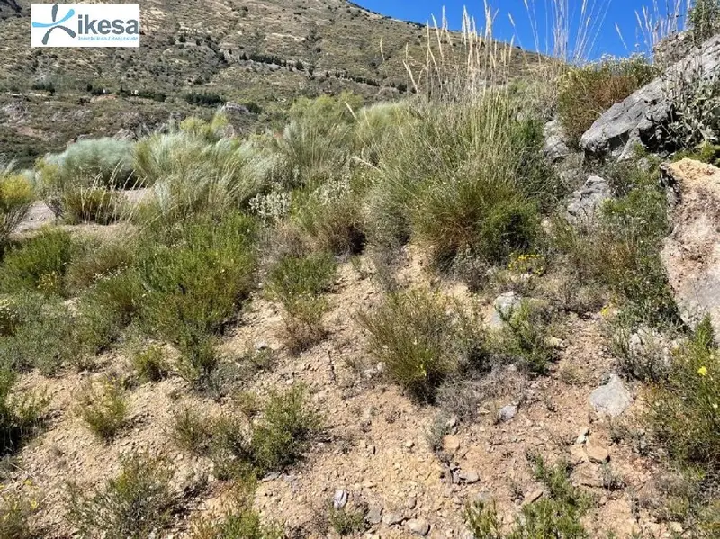 Venta Terreno Rustico Orgiva Alpujarras Granadinas