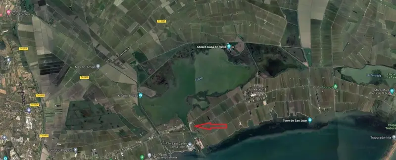Venta Terreno en Delta del Ebro Amposta 12300m2