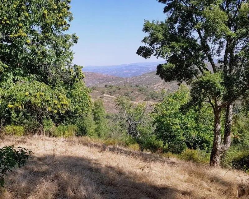Casa de Campo 2 Dormitorios 34 Hectareas La Nava Huelva