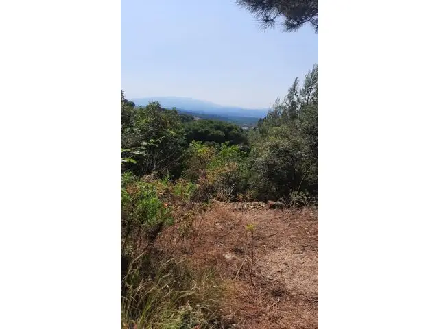 Parcela en Venta Lloret de Mar 1600m2