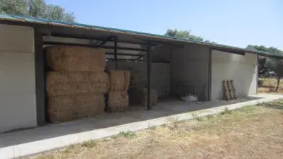 Finca rústica en venta en Carretera Pastores, Kilómetro 1