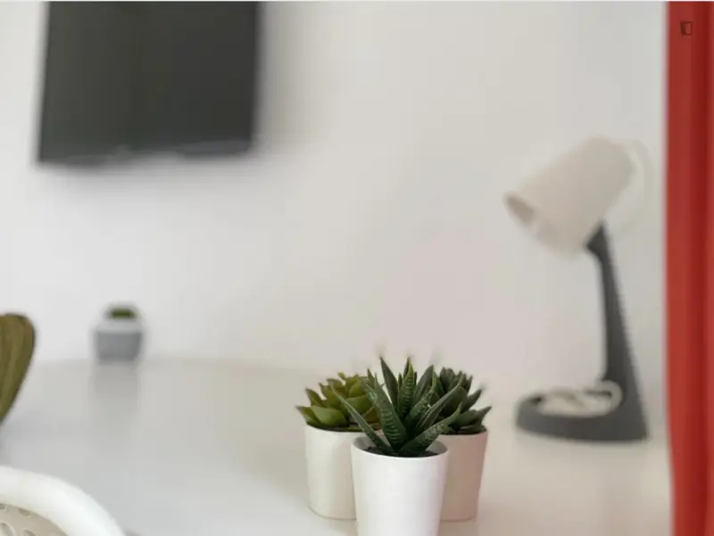 Habitacion Soleada con Terraza Privada Cama Doble AC TV y WIFI Cerca del Centro