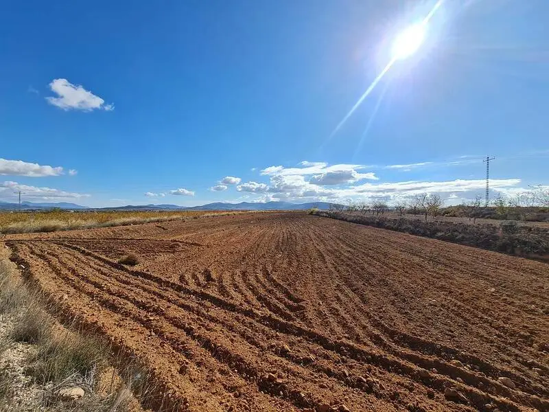 Terreno en Venta Yecla Murcia 6239m2