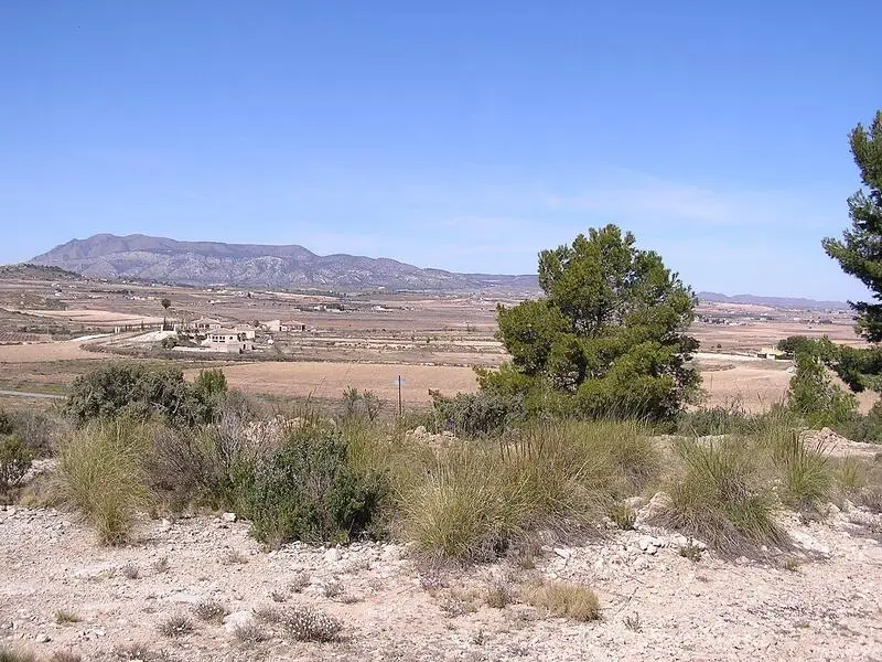 Terreno en Venta cerca de Pinoso Alicante