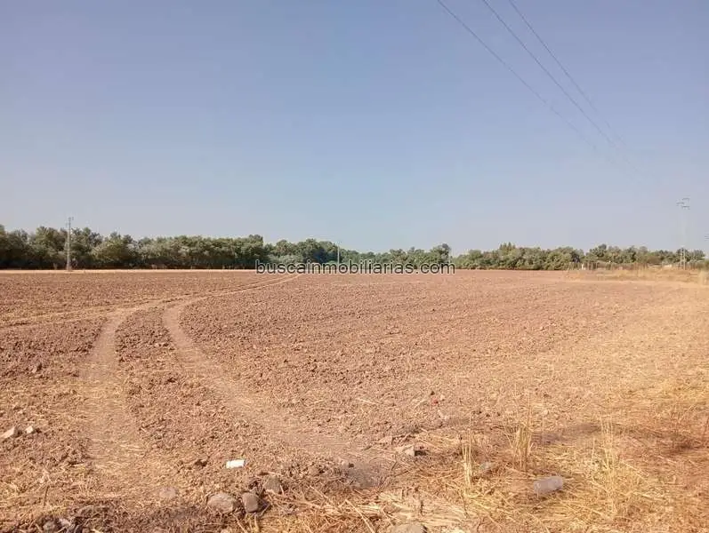 Parcela Rustica en Venta en Cordoba 4 Hectareas