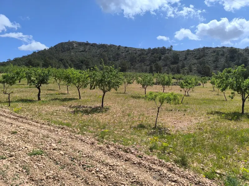 Terreno en venta Orihuela, España