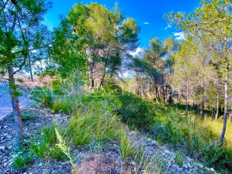 Venta Terreno Can Lloses 340m2 Edificables