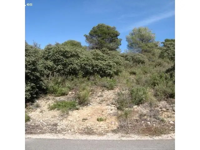 Parcela en Nueva Sierra Albalate de Zorita