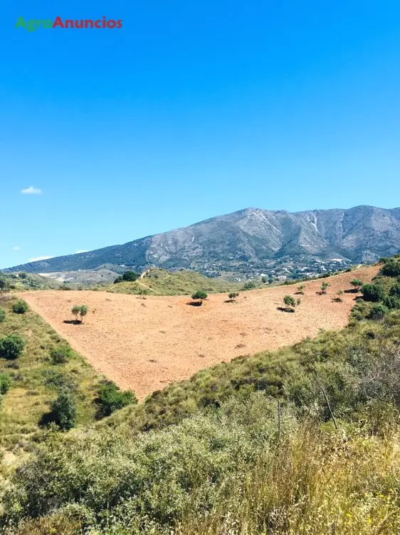 Venta  de Finca rústica en Málaga