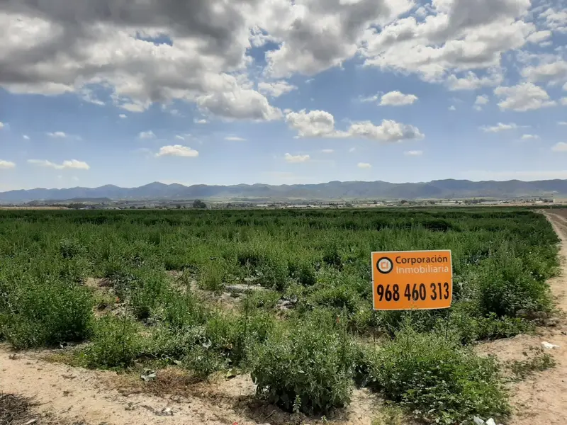 Venta Parcela Cazalla Lorca 8698m2 Vivienda Unifamiliar