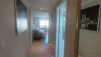 Alquiler Piso Oliva Septiembre Junio Anual