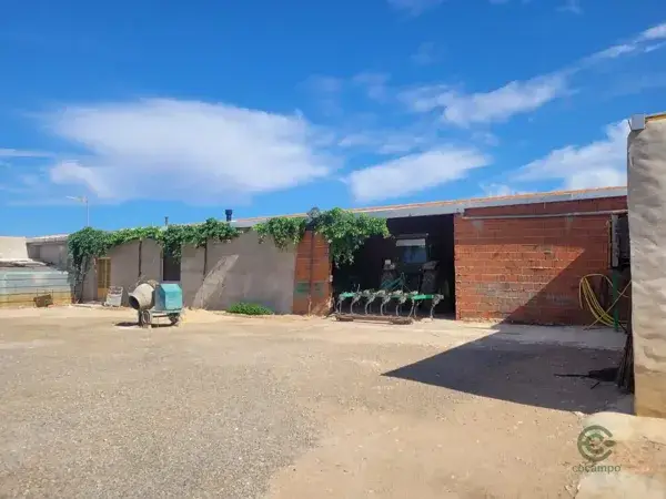 Finca Olivar en Producción 355 Hectareas