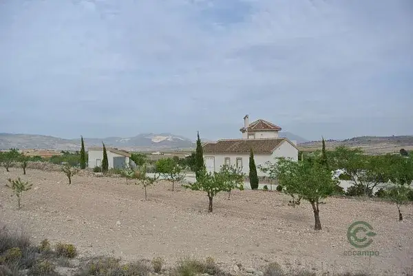 Parcela Rustica Jumilla Murcia 22000m2 Vistas