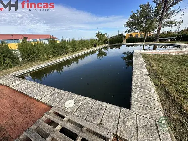 Finca Rustica con Negocio Rentable y Chalet con Piscina