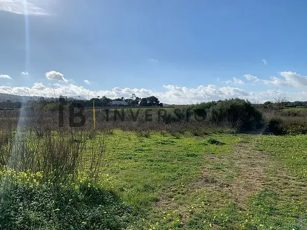 Terreno Rustico en Manacor 2434m2 Cultivo