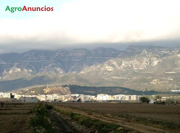 Venta  de Finca cultivo de arroz en Tarragona