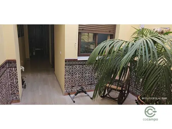 Vivienda en planta baja con 2 habitaciones, 2 baños, patio y placas solares