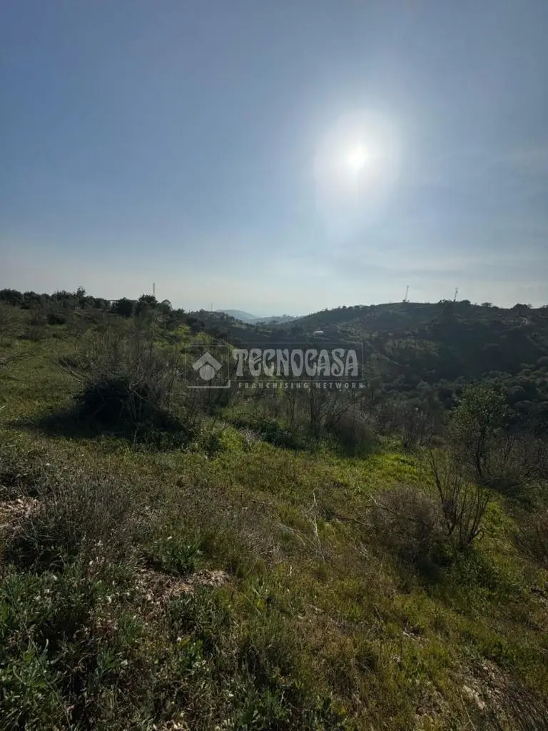 Terreno en Venta Cartama 6000m2