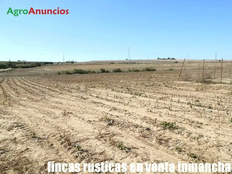 Venta  de Finca de regadio algodonera con vivienda en Cádiz