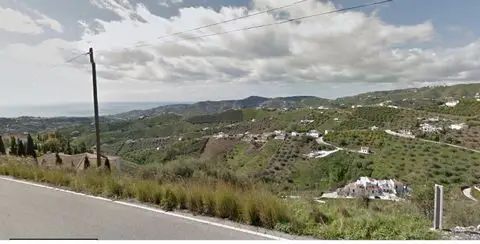 Terreno con Olivos en Frigiliana