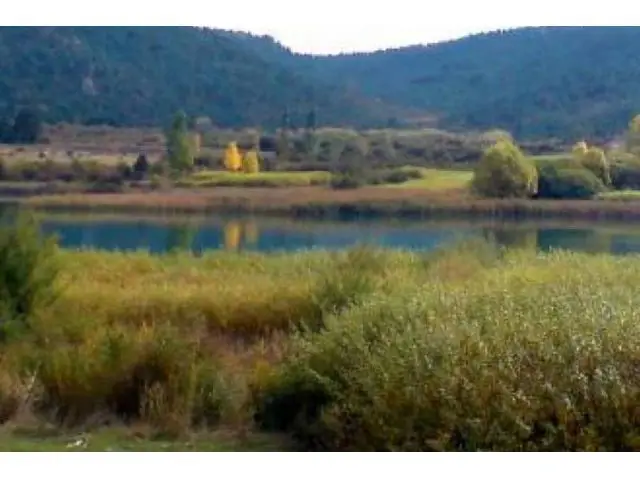 Inversores Pueblo Rustico Henarejos 40 Hectareas 32 Viviendas